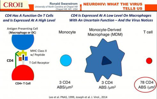 CROI 2019 NEUROVIH