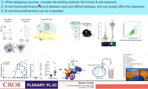 CROI 2020 starting material when designing vaccines