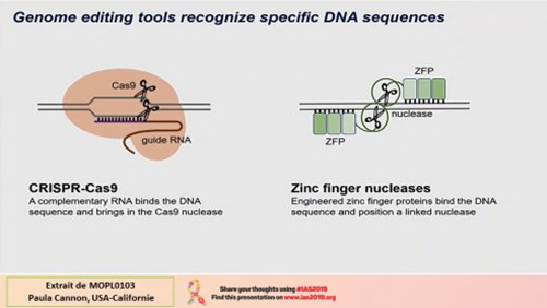 IAS 2019 genome editing tools