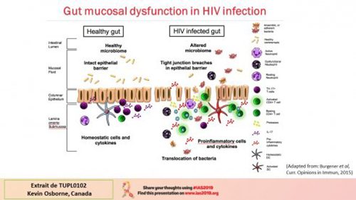 IAS 2019 gut mucosal dysfonction in HIV infection