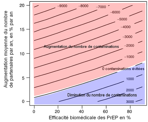 augmentation moy nbre partenaires